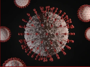 Don’t buy into the BS of a Pandemic